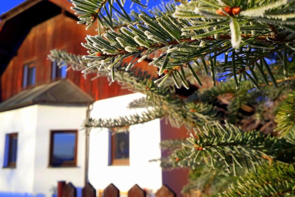 "Stone'S Throw" Krumlov 5 Min By Car, Lipno 15 Min By Car, 2 Bdrooms,Playroom Kájov Εξωτερικό φωτογραφία